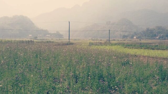 Lác – Nà Phòn Village, Hoa Binh