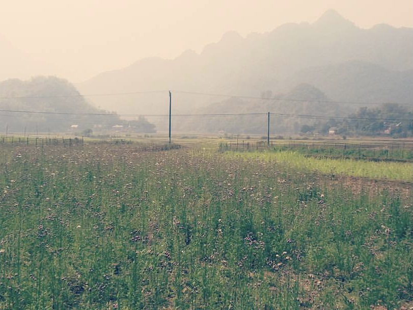 Bản Lác – Nà Phòn, Hoà Bình