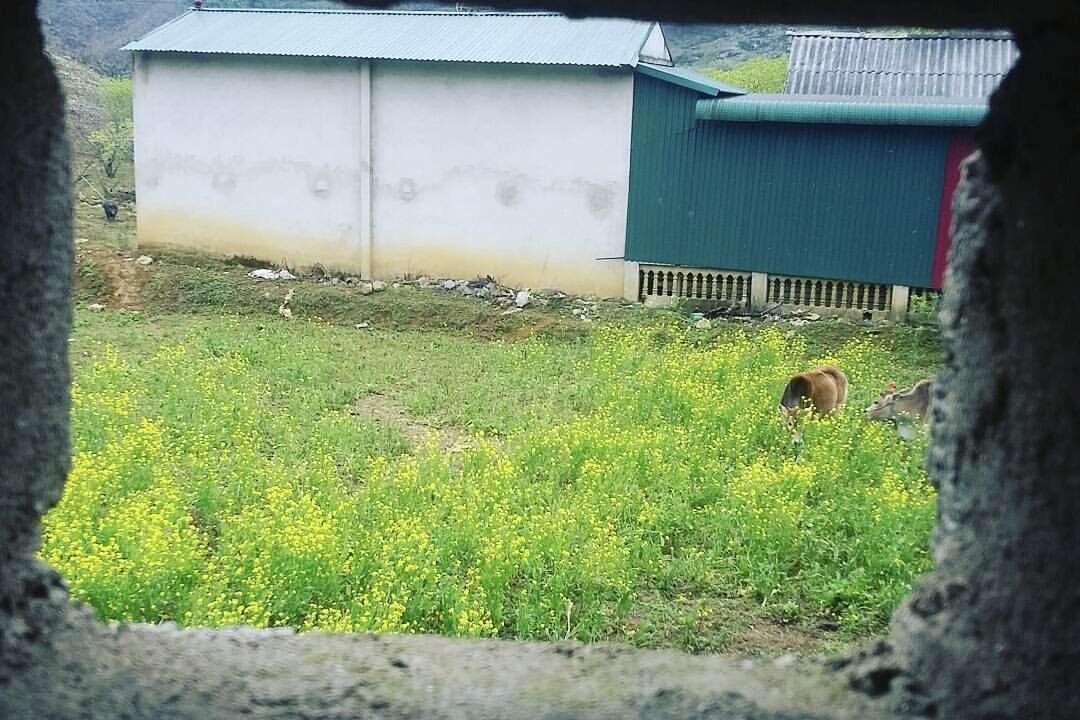 Bản Pà Cò – Hang Kia, Hoà Bình