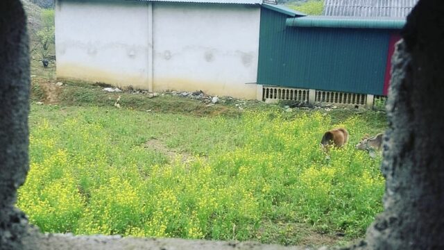 Pà Cò – Hang Kia village, Hoa Binh
