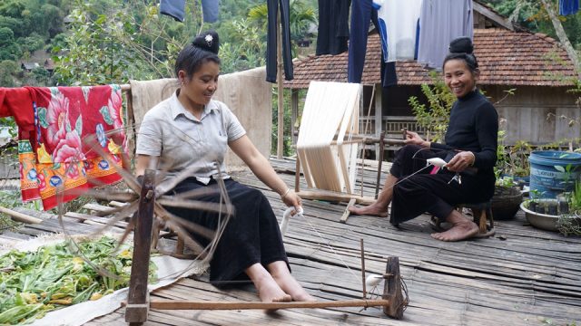 Nghiên cứu về bông thủ công của người Thái, Điện Biên, 2018