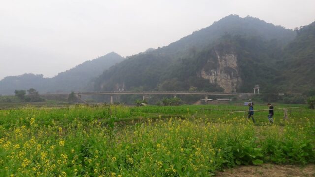 Hoa Tien Village, Nghe An