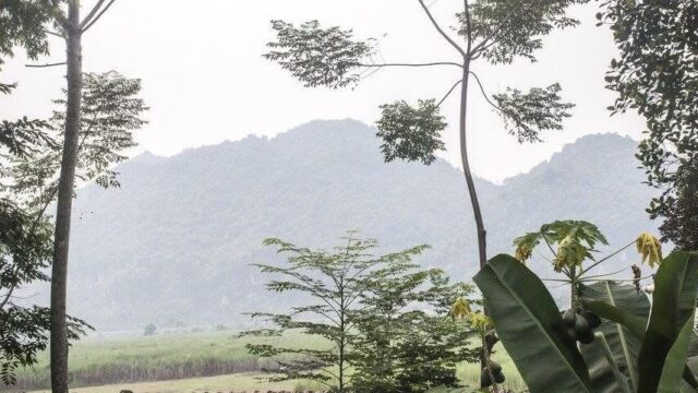 Hoa Tien Village, Nghe An