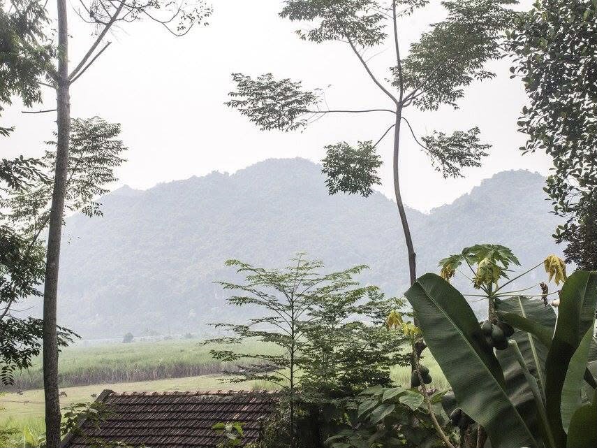 Hoa Tien Village, Nghe An