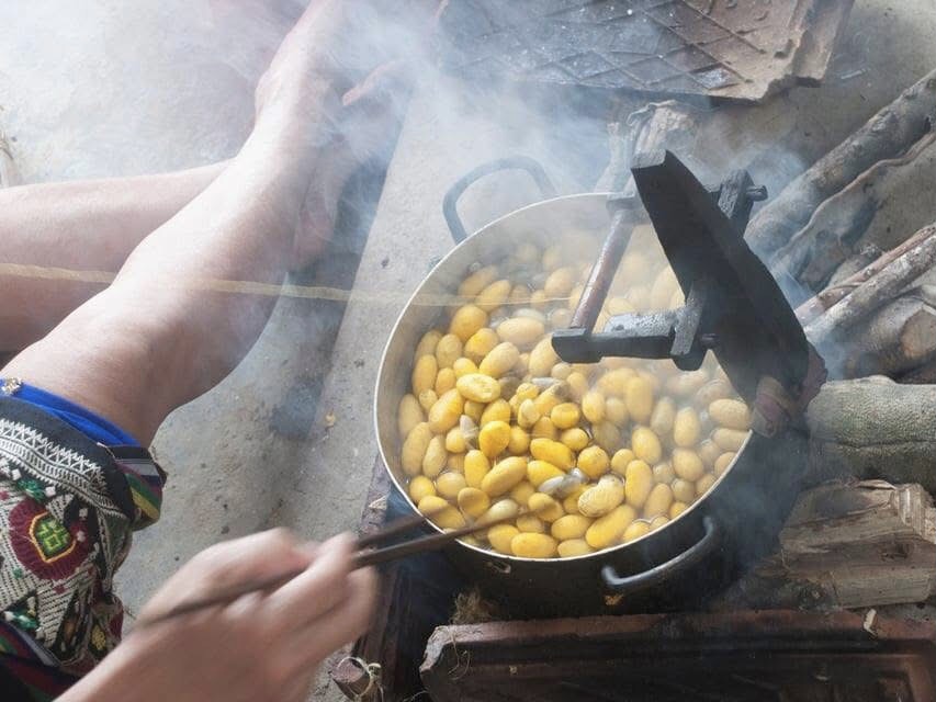 Bản Hoa Tiến, Nghệ An