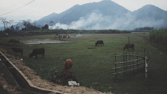 Hoa Tien Village, Nghe An