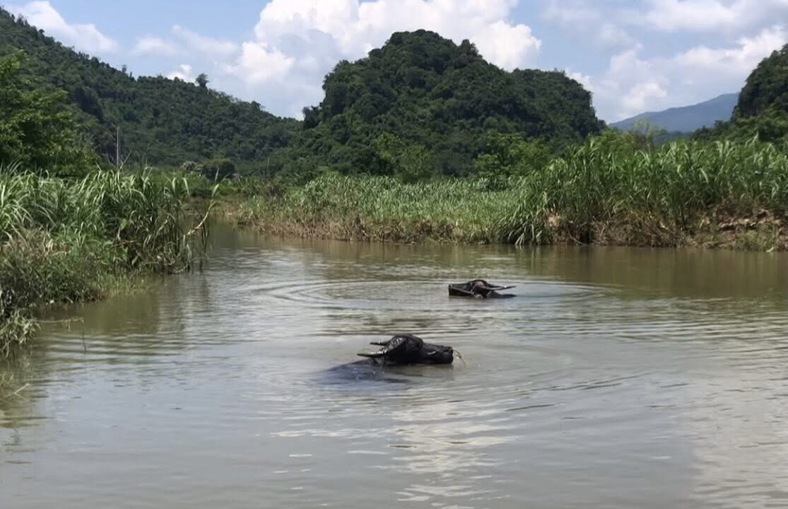 Hoa Tien Village, Nghe An