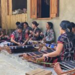 Recherche sur le coton cultivé localement dans les textiles traditionnels, Dien Bien, 2018