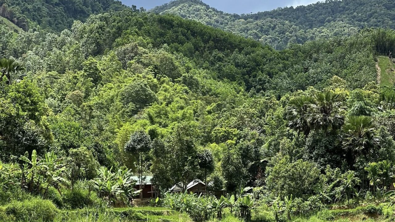 Dhroong Village, Quang Nam