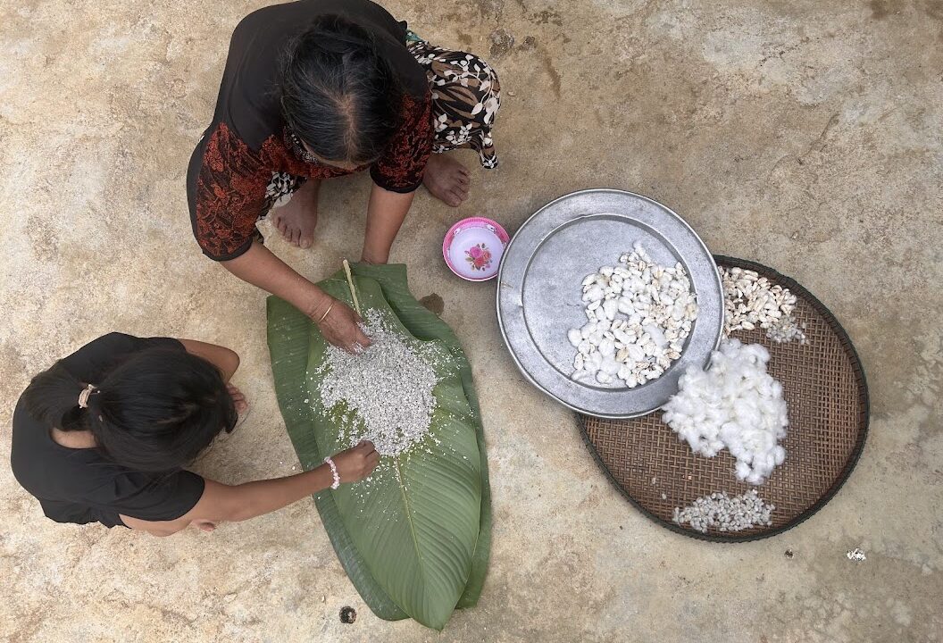 Co Tu Craft Village Tour – Homegrown Cotton Making, Natural Dye & Weaving Workshop – Quang Nam Province