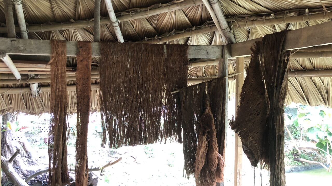 Phía sau một thước phim: hành trình về với sợi bông và chàm của người Cơ Tu, thôn Công Dồn, 2024