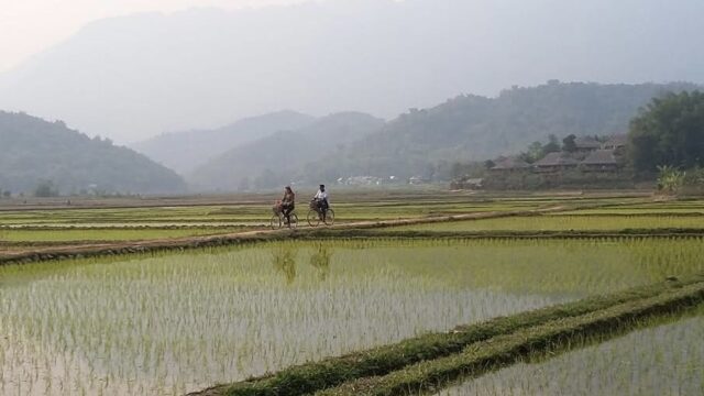 Lác – Nà Phòn Village, Hoa Binh
