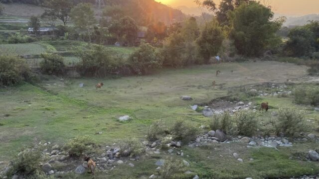 Na Sang Village, Dien Bien