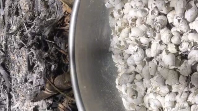 Behind the Footage: A Journey Back to Cotton and Indigo with the Cơ Tu People, Cong Don village, 2024