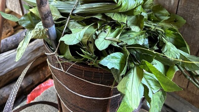Behind the Footage: A Journey Back to Cotton and Indigo with the Cơ Tu People, Cong Don village, 2024