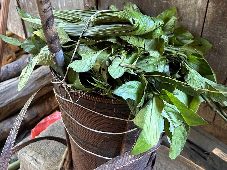 Phía sau một thước phim: hành trình về với sợi bông và chàm của người Cơ Tu, thôn Công Dồn, 2024