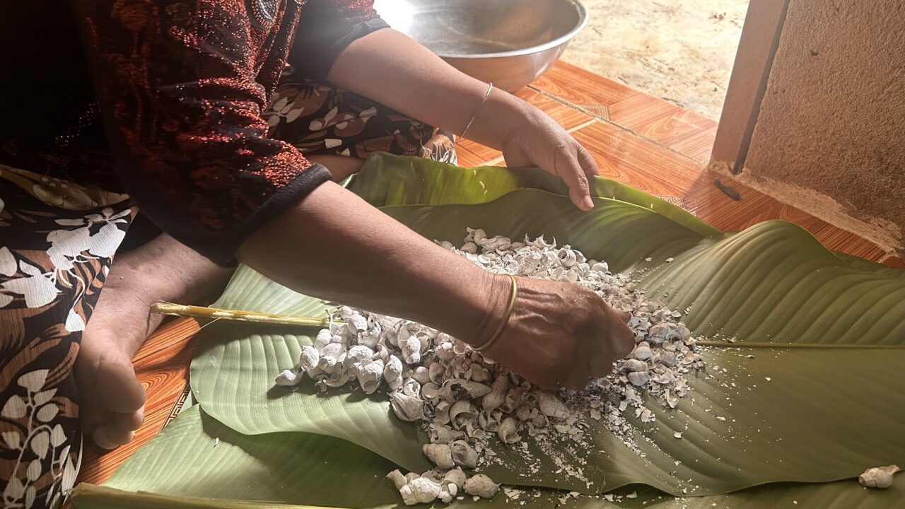 Phía sau một thước phim: hành trình về với sợi bông và chàm của người Cơ Tu, thôn Công Dồn, 2024