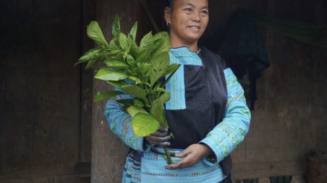 Pà Cò – Hang Kia village, Hoa Binh