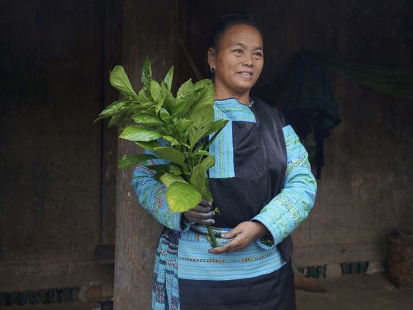 Pà Cò – Hang Kia village, Hoa Binh