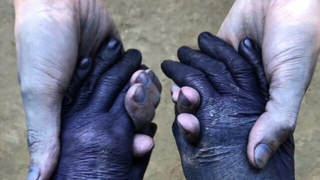 Behind the Footage: A Journey Back to Cotton and Indigo with the Cơ Tu People, Cong Don village, 2024