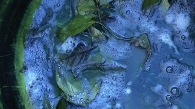 Behind the Footage: A Journey Back to Cotton and Indigo with the Cơ Tu People, Cong Don village, 2024
