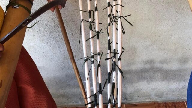 Behind the Footage: A Journey Back to Cotton and Indigo with the Cơ Tu People, Cong Don village, 2024