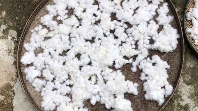 Behind the Footage: A Journey Back to Cotton and Indigo with the Cơ Tu People, Cong Don village, 2024