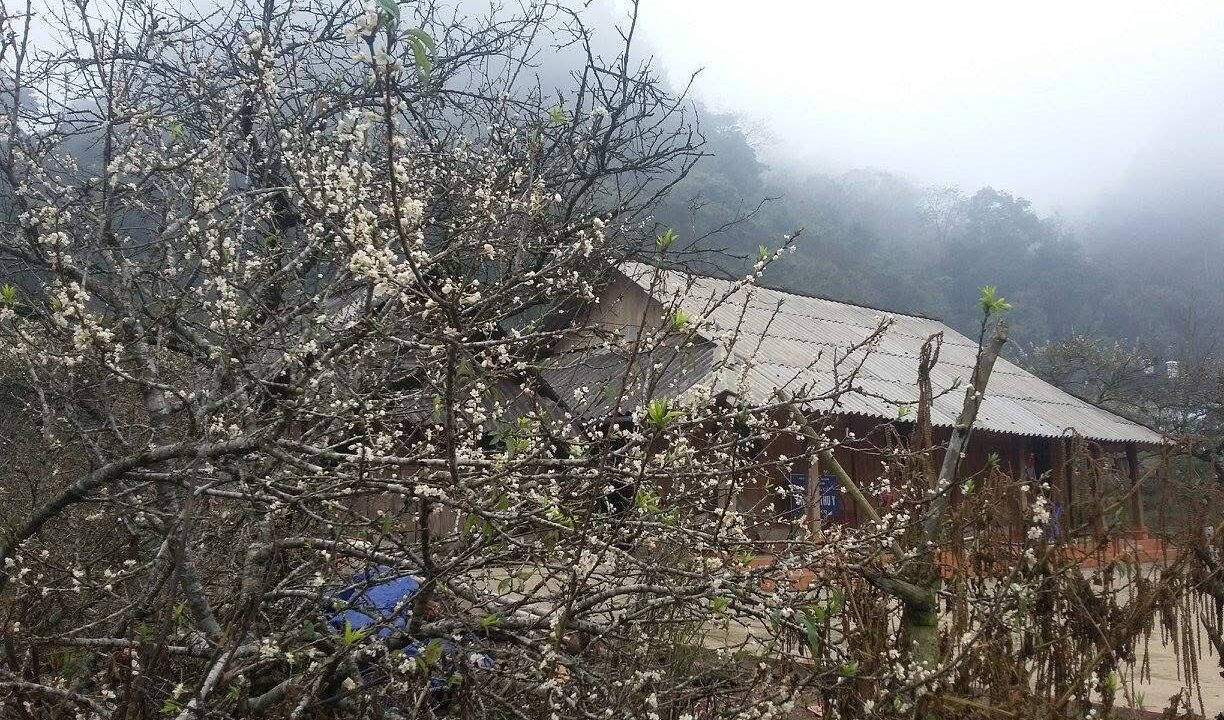 Pà Cò – Hang Kia village, Hoa Binh