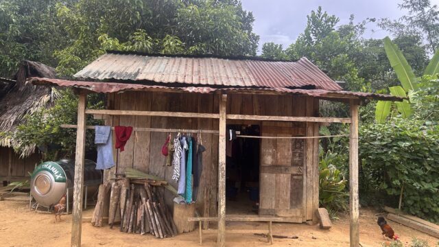 Behind the Footage: A Journey Back to Cotton and Indigo with the Cơ Tu People, Cong Don village, 2024