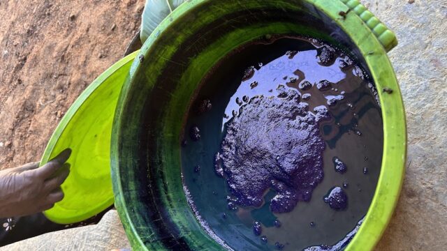 Behind the Footage: A Journey Back to Cotton and Indigo with the Cơ Tu People, Cong Don village, 2024